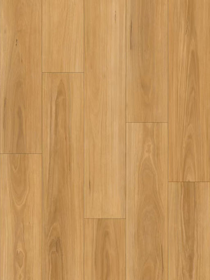 303-Blackbutt-6.5mm