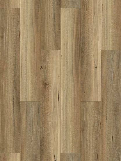 301-SpottedGum-6.5mm