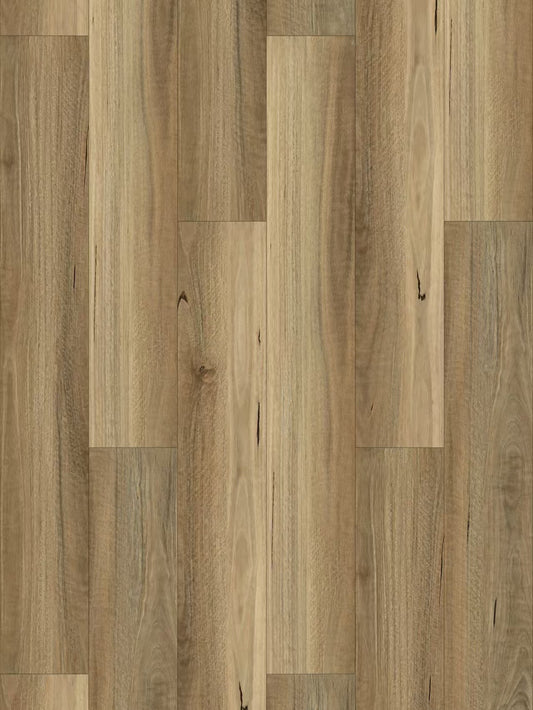 301-SpottedGum-6.5mm