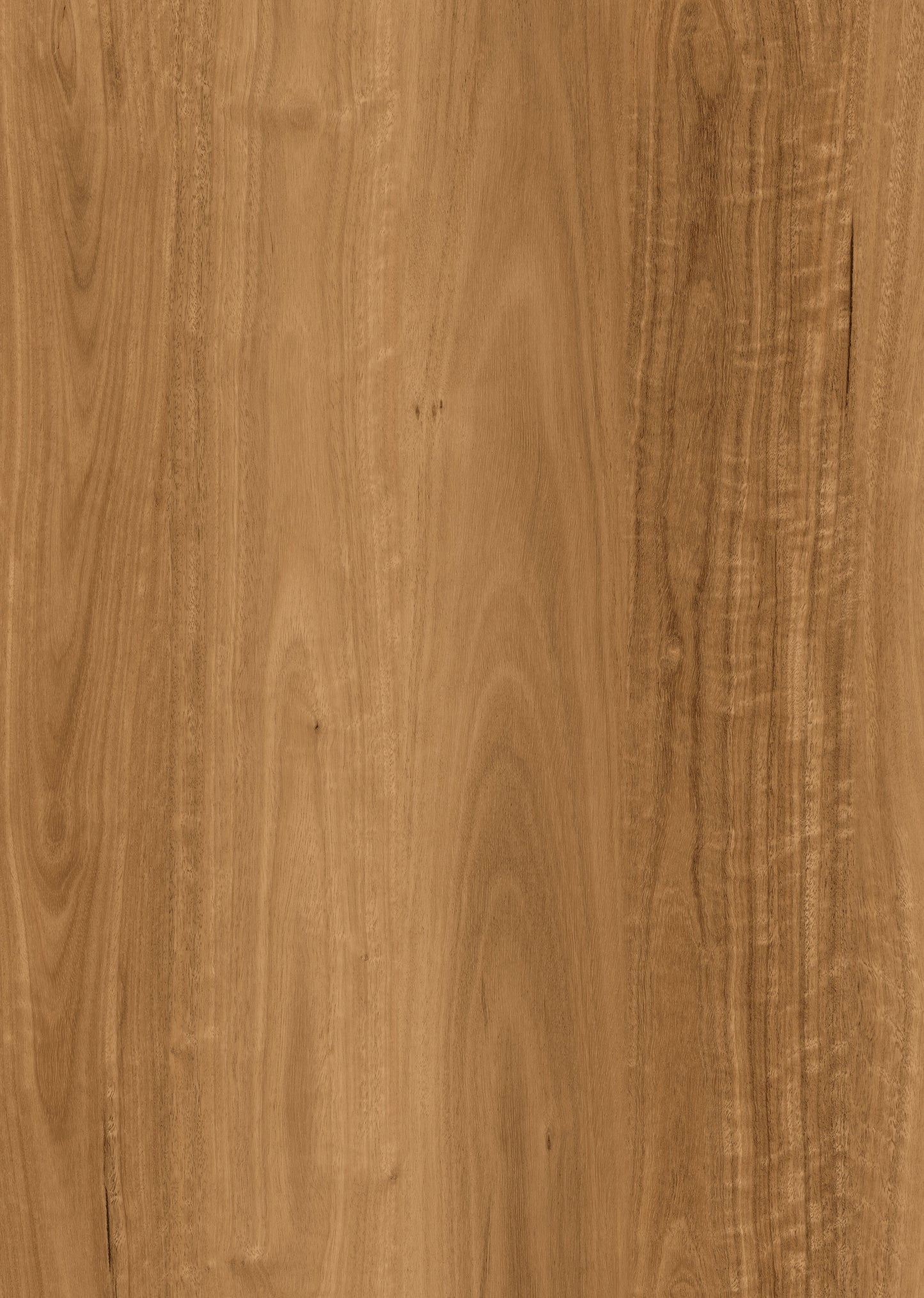 Spotted Gum - 8mm