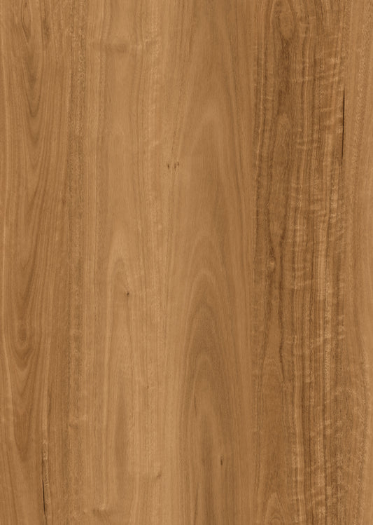 Spotted Gum - 8mm
