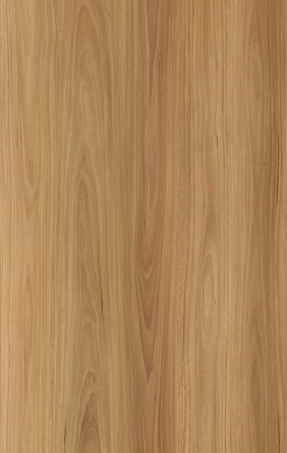 Blackbutt-6.5mm