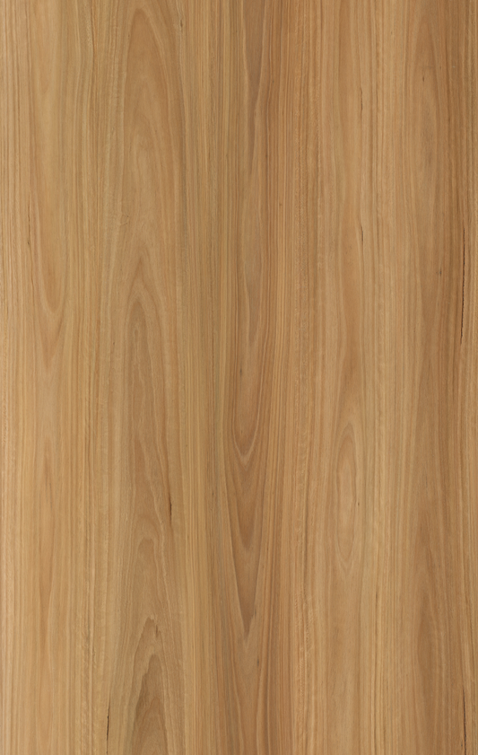 Blackbutt-6.5mm